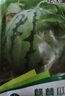 花沃里甜王西瓜种30粒 蔬菜种子家庭阳台花盆西瓜种植土庭院田间种菜籽 实拍图