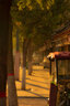 尼康\/NikonD7000 D7100 D7200二手单反相机D7500入门新手半画幅高清旅游学生 D7000+18-55镜头【套机】 99成新 实拍图