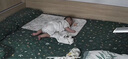 佳尔优优（garkoko）安抚奶嘴0-3-6个月母乳防胀超轻气新生婴儿玩具硅胶哄睡安抚宝宝  实拍图