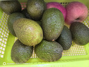 牛油果先生牛油果先生（轻食）秘鲁应季当季水果原装整箱进口牛油果（熟果） 大果18个装（单果重160g+） 熟果 实拍图