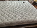 徐师傅全山棕床垫硬棕垫手工线缝单双人榻榻米床垫定制1.8*2米【偏硬】 实拍图