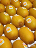 佳沛（zespri）新西兰  阳光金奇异果巨大果22粒原箱 单果重约144-175g 猕猴桃 实拍图