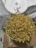 豆芽机家用全自动智能大容量|自制生豆芽花生芽发绿豆芽神器小型发芽罐桶 【基础款】双重豆芽机 全自动培养 | 四季模式 实拍图