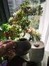 百年利永宜兴紫砂壶纯手工原矿紫泥子冶石瓢壶功夫茶具套装家用泡茶壶 一壶四杯 230ml 实拍图