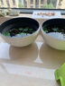 花沃里花盆古法鱼缸碗睡莲盆 塑料加厚大号仿陶瓷盆一叶莲水培荷花盆35# 实拍图