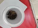 修年堂胖大海50g花草茶精挑细选胖大海茶甘草茶个头饱满 实拍图