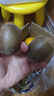 静益乐源黄心猕猴桃 金果奇异果 新鲜水果四川 10枚中果单果70-90g 实拍图
