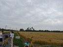洛克兄弟（ROCKBROS） 骑行头盔带风镜山地公路自行车头盔男女一体成型炫彩安全帽 黑色：58-62cm 灰色镜片 实拍图