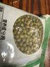 东北绿豆 可发芽打豆浆 绿豆糕饼馅烘焙原料五谷杂粮 精选绿豆500g*1 实拍图