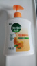 滴露（Dettol）洗手液柑橘500g瓶 健康抑菌消毒清爽 儿童家庭非补充装替换 实拍图