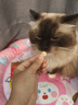 USPET乳铁蛋白片200片猫咪狗狗提升免疫力少生病高浓度乳铁蛋白幼犬猫 实拍图