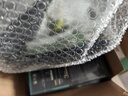 溪木源愈创木焕能祛痘精华液5ml 实拍图