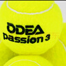 欧帝尔（Odear）网球passion系列网球耐打高弹训练比赛罐装网球  1罐 4粒装 实拍图
