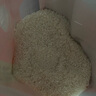 十月稻田 绿色食品 五常大米 当季新米 10斤（香米 东北大米 5公斤/十斤） 实拍图