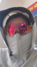 洛克兄弟骑行眼镜变色自行车护目镜防风沙运动眼镜 亮透/PC浅灰变色全面红 晒单实拍图
