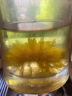 贡苑【70超大朵】菊花茶金丝皇菊胎菊黄山特一朵一杯级金银花茶叶28g 实拍图