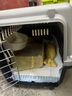 腆宠宠物航空箱小号 猫咪航空箱猫狗 猫包猫笼外出车载猫箱狗狗托运 实拍图