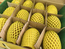 佳沛（zespri）新西兰 阳光金奇异果12粒礼盒特大果单果约122-146g 猕猴桃 水果 实拍图