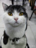 麦富迪 猫条 成猫幼猫咪猫湿粮猫零食猫条三文鱼味14g*5 实拍图
