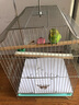 獒少保鸟笼鹦鹉专用鸟笼大号家用八哥鹦鹉笼子金属电镀加粗豪华鸟别墅 电镀银基础套餐 大号44*32*31cm 实拍图