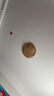昙蓓漫灯罩防刺眼月子遮光灯罩婴儿灯暖光灯罩卧室柔光吸顶灯罩遮光神器 41-58cm【加大】遮光灯罩 米黄色【遮光度35%】 实拍图