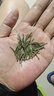 乐品乐茶特级明前雀舌2025新茶绿茶四川峨眉山茶叶250g 实拍图