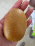 佳沛（zespri）新西兰  阳光金奇异果18粒礼盒优选果单果约101-124g 猕猴桃水果 实拍图