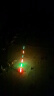 小凤仙日夜两用夜光漂锤头尾发光漂夜钓电子漂鲫鱼漂加粗醒目近视漂 实拍图