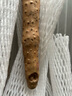 张宝山河南焦作垆土铁棍山药净重5斤 怀山药特产（长约50cm）源头直发 实拍图