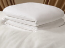 蚕花娘娘【丝路传奇】100%桑蚕丝被子夏凉薄被芯 丝重2斤200*230cm【白】 实拍图