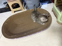【京东物流】猫抓板磨爪猫窝一体耐磨不掉屑超大号猫玩具猫咪用品 椭圆巨无霸+猫薄荷 实拍图