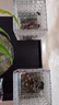 鑫意碗莲种子室内盆栽荷花种子睡莲四季开花水培碗莲花卉种子植物种子 混色开口水培碗莲35粒+营养液 不含盆 实拍图