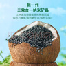 绿之源活性炭除甲醛6kg360室内装修新房除甲醛净化碳包车载除味活性炭包 实拍图