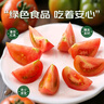 京鲜生&瓦大1号 赤峰绿色食品鲜食番茄 净重3斤单果40-100g 源头直发 实拍图