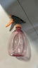 喷壶浇花浇水喷雾器气压式喷水壶家用园艺养花500ml 南瓜喷壶透粉【1个装】 实拍图