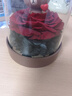 JoyFlower布朗熊永生花玫瑰熊礼盒表白生日礼物女结婚纪念日送女朋友精致 实拍图