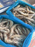 禧美海产  国产大虾 无冰净重400g/盒 22-27只 白虾 对虾 烧烤 海鲜水产  实拍图