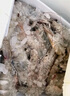 鲜京采 原装进口厄瓜多尔白虾 去冰净重3.3斤 大号50-60规格 82-99只/盒 实拍图