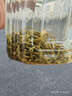 乐品乐茶茉莉飘雪茉莉花茶叶冷泡特级碧螺春2025新茶横县新茶春茶绿茶250g 实拍图