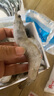口水时代 盐冻海捕青岛大虾20/30大号鲜活冷冻白虾青虾对虾基围虾海鲜水产 11-13cm大虾 3斤(净重)  整箱发货 晒单实拍图