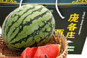 趣觅鲜庞各庄西瓜水果正宗北京大兴牛奶冰糖吊瓜新鲜迷你小西瓜薄皮礼盒 4个臻选礼盒装14-15斤 实拍图