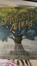 布鲁克林有棵树（全三册）亲爱的弗朗茜 白裙与玫瑰 跨过威廉斯堡大桥 贝蒂·史密斯著畅销八十余年的青少年读物成长小说 中小学课外阅读 实拍图