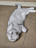沃趣 猫砂20斤膨润土猫砂低尘结团祛味因子猫砂 实拍图