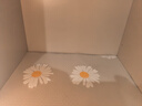 希偌抽屉垫纸橱柜垫衣柜鞋柜防水防潮食品级EVA防潮小雏菊0.6*5米 实拍图