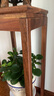 山之林胡桃木实木花架新中式花台客厅花盆架阳台木头置物花几落地摆件台 胡桃木花架【标准款中号】 实拍图