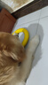 加仕高狗狗玩具eva拉环中大型犬互动圆环金毛边牧磨牙耐咬狗解闷神器 实拍图