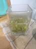 豫礼信阳毛尖2025年新茶特级62.5g 明前嫩芽罐装自饮茶叶绿茶 实拍图