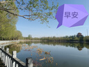 无印良品（MUJI）女式 天竺编织圆领短袖T恤上衣打底衫女款内搭多巴胺女装 白色BB2P6C4S L (165/88A) 实拍图