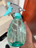 喷壶浇花浇水喷雾器气压式喷水壶家用园艺养花500ml 南瓜喷壶透蓝【1个装】 实拍图