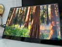 雕塑家14英寸便携式显示器4K OLED屏100%DCI-P3高色域 手机电脑笔记本副屏Ps5一线直连扩展屏MU140LH 实拍图
